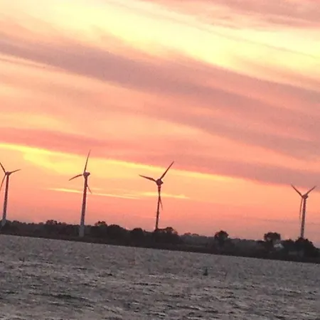 Strandmuschel Fehmarn Direkt Am Suedstrand *